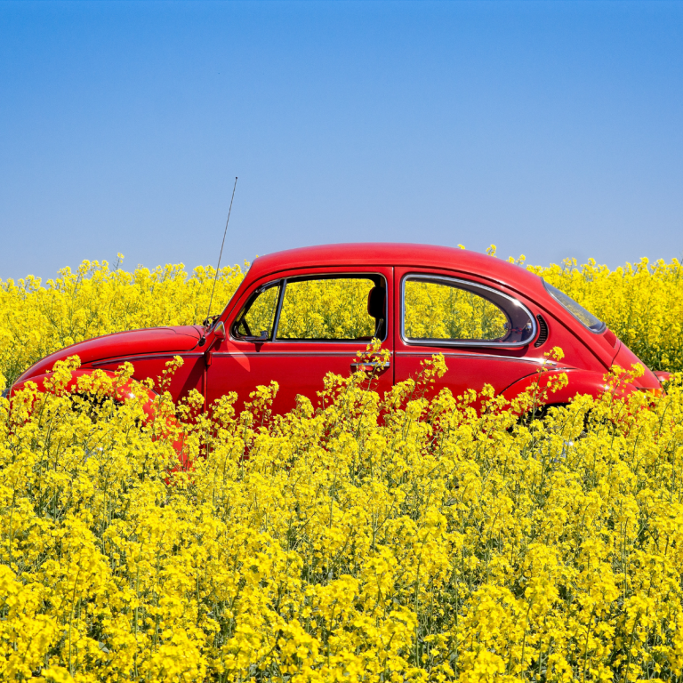 Basitten Kaosa: Çeviklik