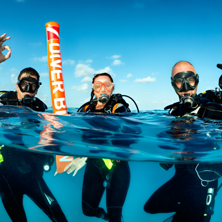 İnovasyon:Farklı Fikirlere Kucak Açmak