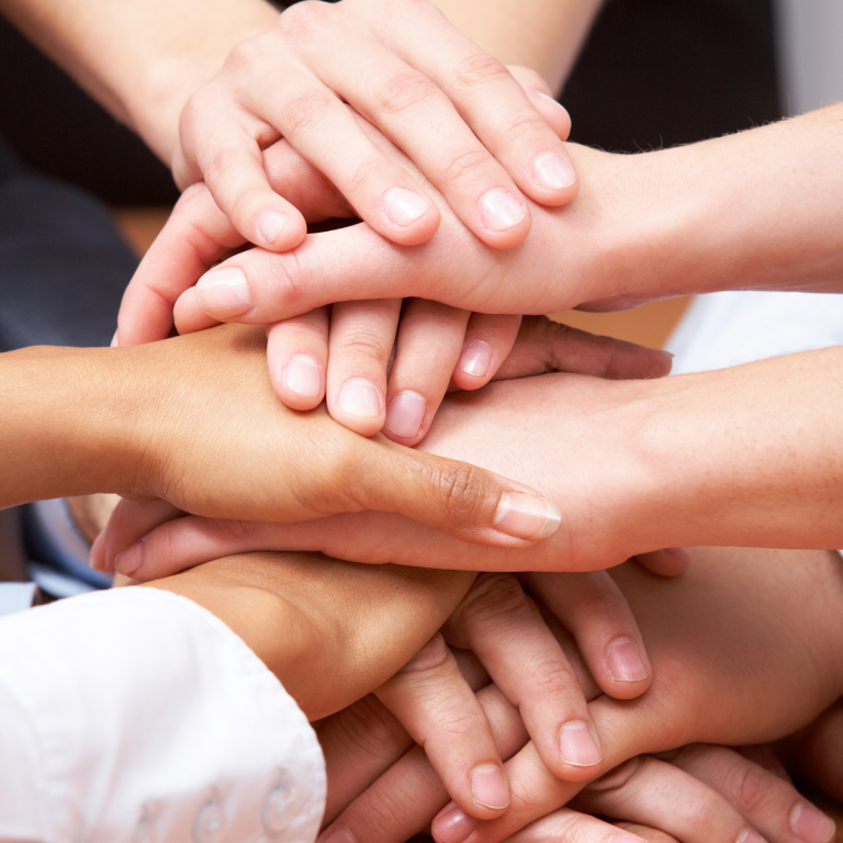 yelda erdogan fikir birliği