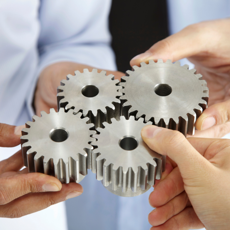 yelda erdogan liderlik